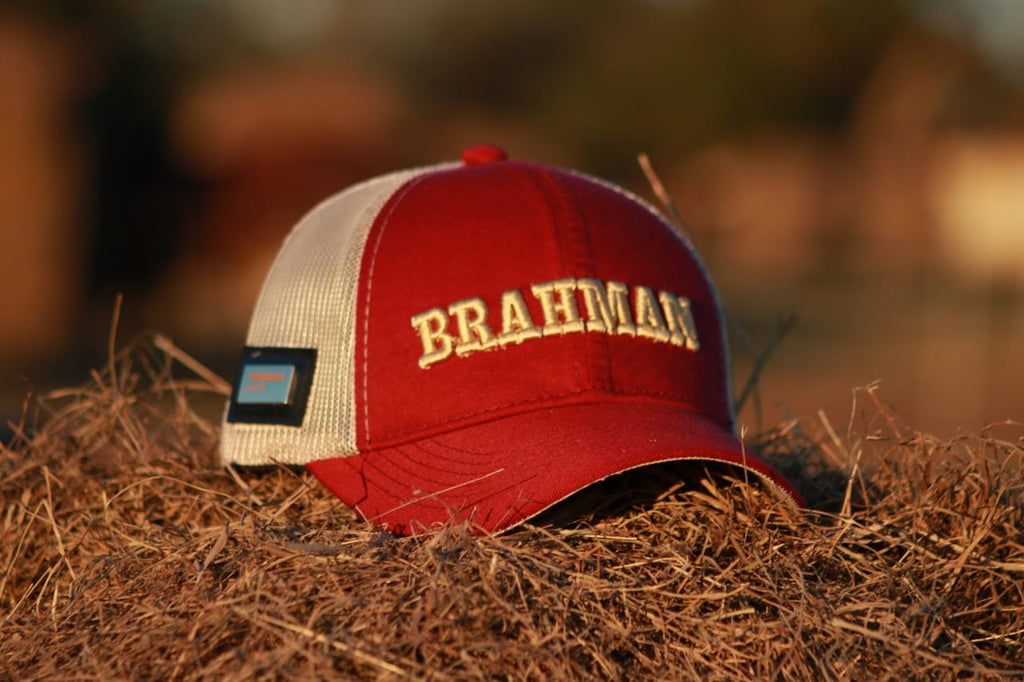 CAP BRAHMAN H0002R Strength Soil and Tradition