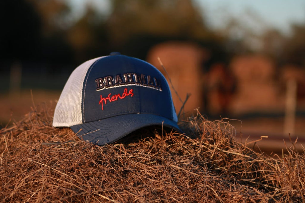 CAP BRAHMAN H0005BF Proud of Brahman Passion for Cattle