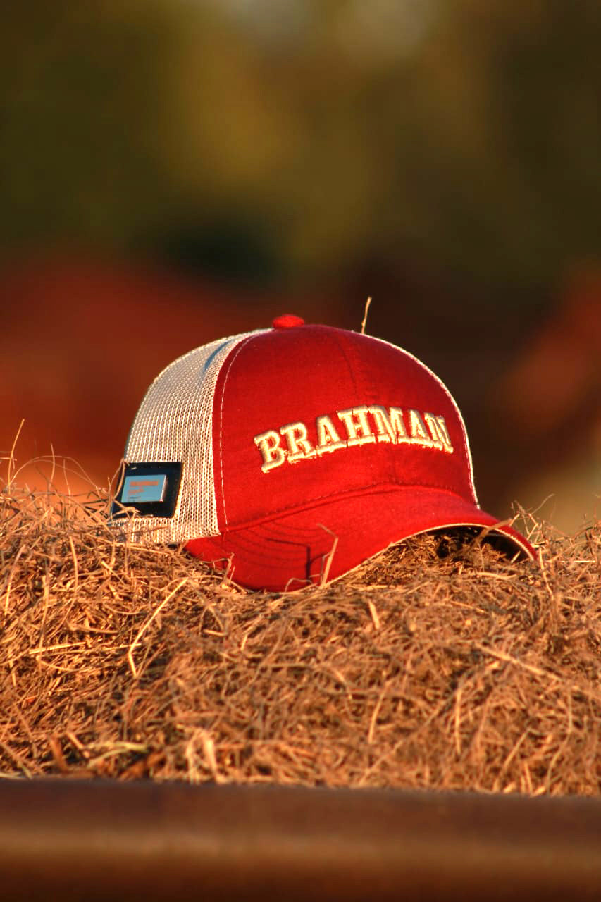 CAP BRAHMAN H0002R Strength Soil and Tradition