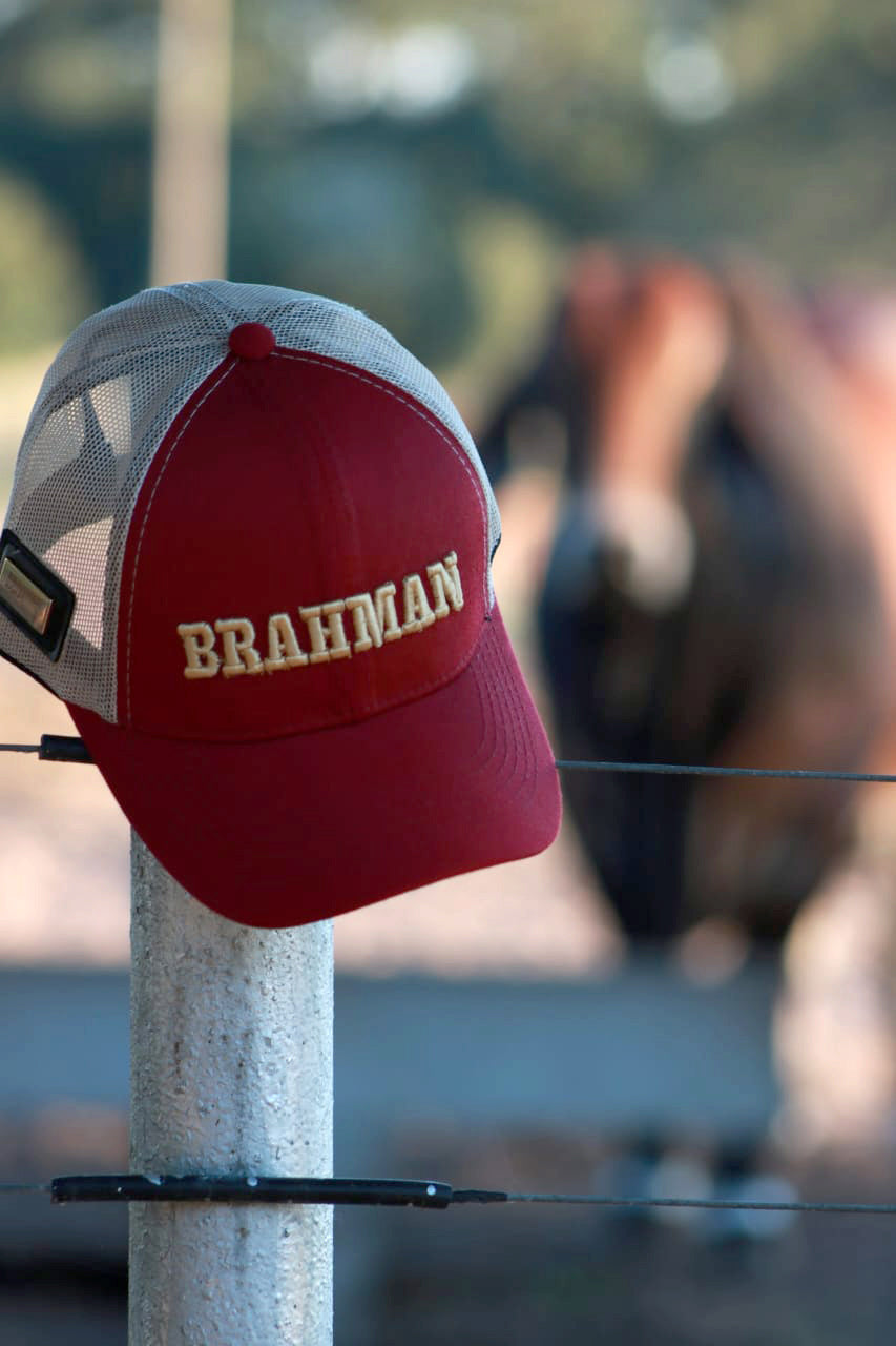 CAP BRAHMAN H0002R Strength Soil and Tradition