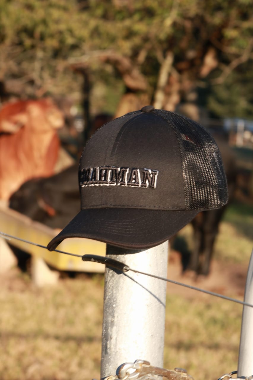 CAP BRAHMAN H0001B Born to Work Build to Last