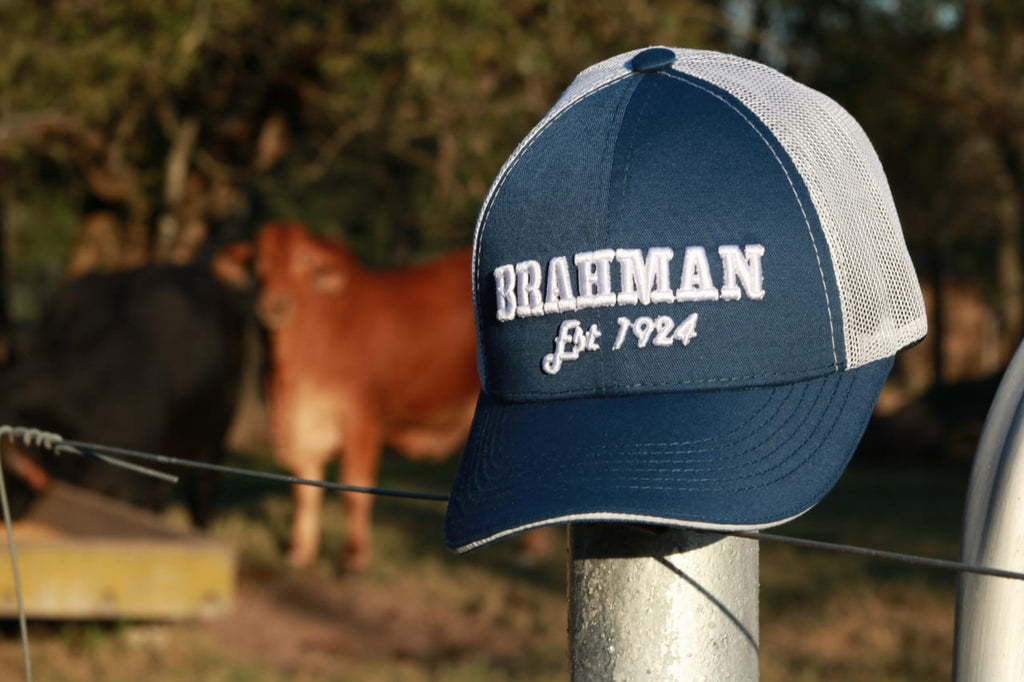 CAP BRAHMAN H0004B Brahman Bloodlines