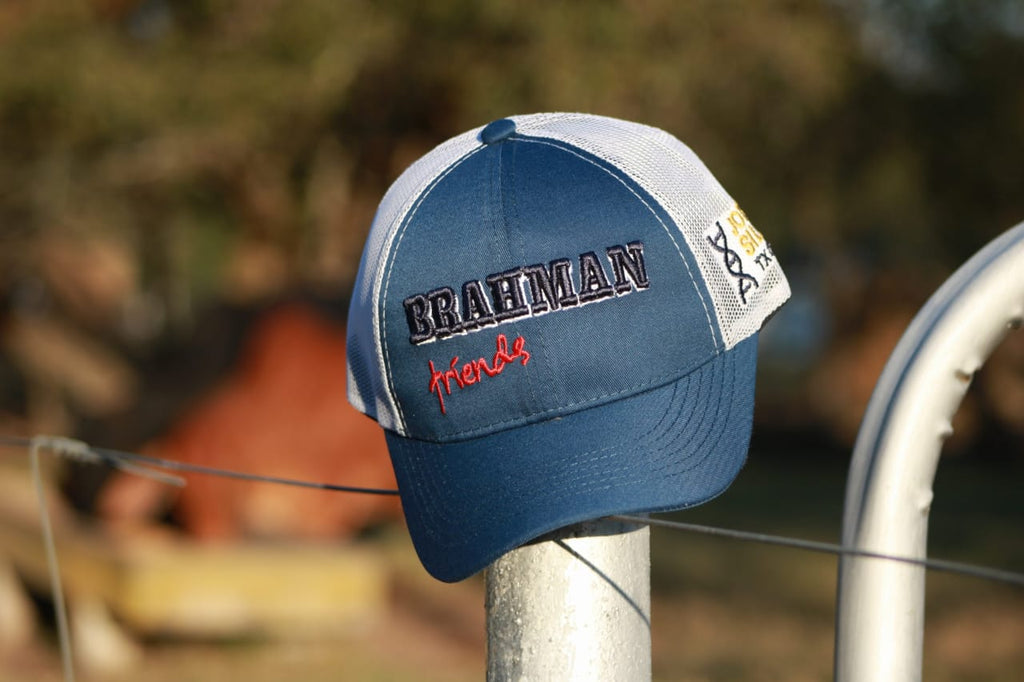 CAP BRAHMAN H0005BF Proud of Brahman Passion for Cattle