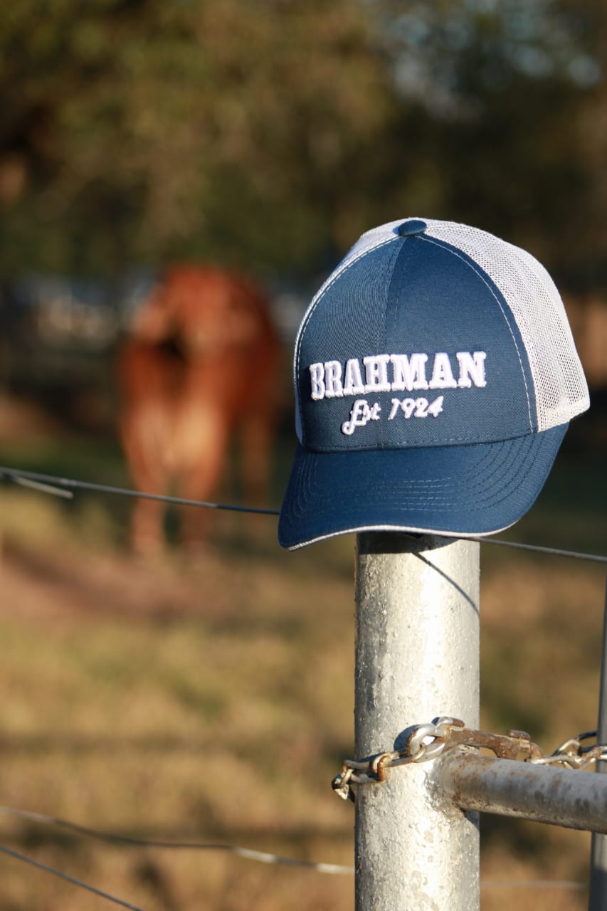CAP BRAHMAN H0004B Brahman Bloodlines